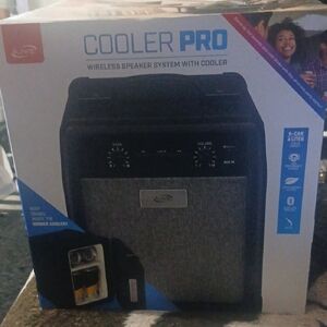 Wireless Speaker and Cooler - Gray